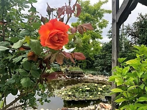 Au Relais de l'Ill, Забронировать Отель Отели Сермерсайм с парковкой, Парковка
