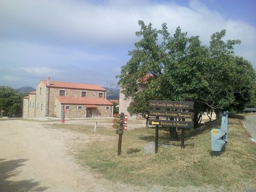 B&B Sa Lumenaria "da Raimonda", Réserver Chambre d'hôtes Sorgono Barbagia