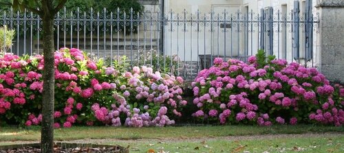 Château de Bournand B&B, Забронировать Отель Бурнан Вьен