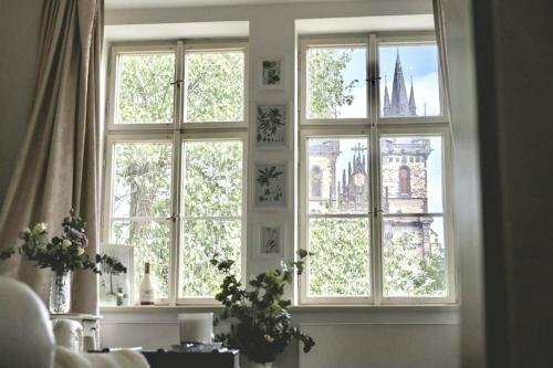 Hostel Homer