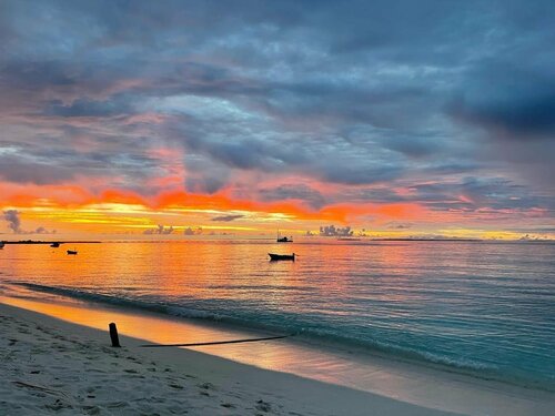 ViluVeli Holiday Retreat, Book Hotel Hanimaadhoo Haa Dhaalu Atoll