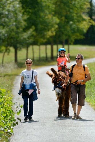 Parc Du Coq a lAne, Забронировать  Ньор Deux-Sèvres