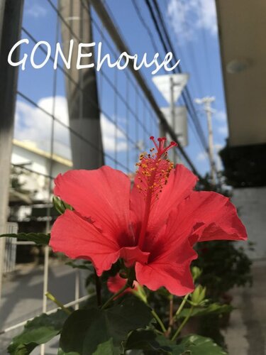 Gone House, Book Hotel Chatan 