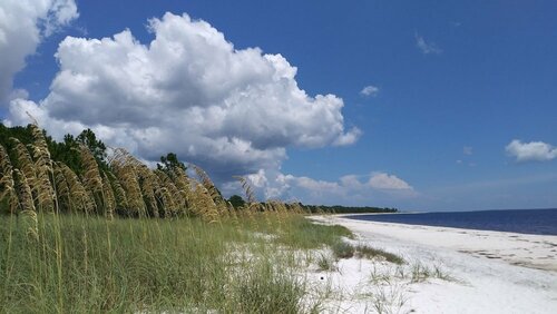 The Old Carrabelle Hotel, Boek Hotel Carabelle Florida