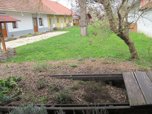Rigófütty Vendégház, Book Pension Billige hoteller i Southern Great Plain