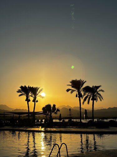 Barceló Tiran Sharm, Забронировать Отель Отели Южного Синая 4 звезды, 4*