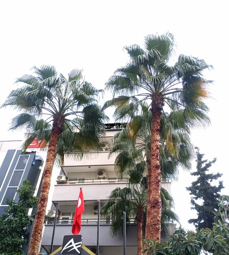 My Boutique Hotel Alanya, Забронировать Бутик-отель Отели Алании с завтраком, рядом с Площадь Ататюрка в Алании, Завтраки