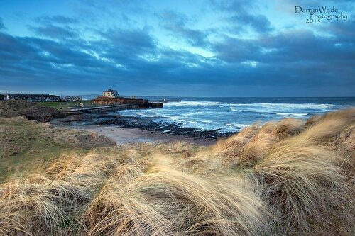 The Trap Inn, Book Hotel Hoteller i Scotland med parkering, Parkering