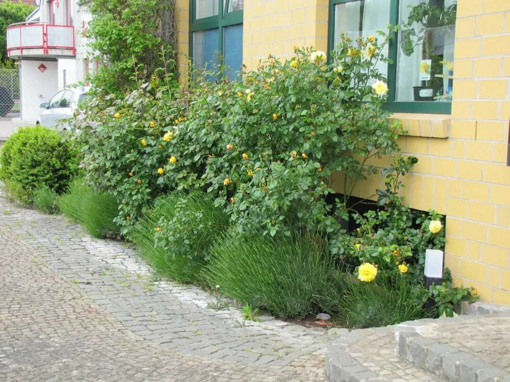 Pension Genat