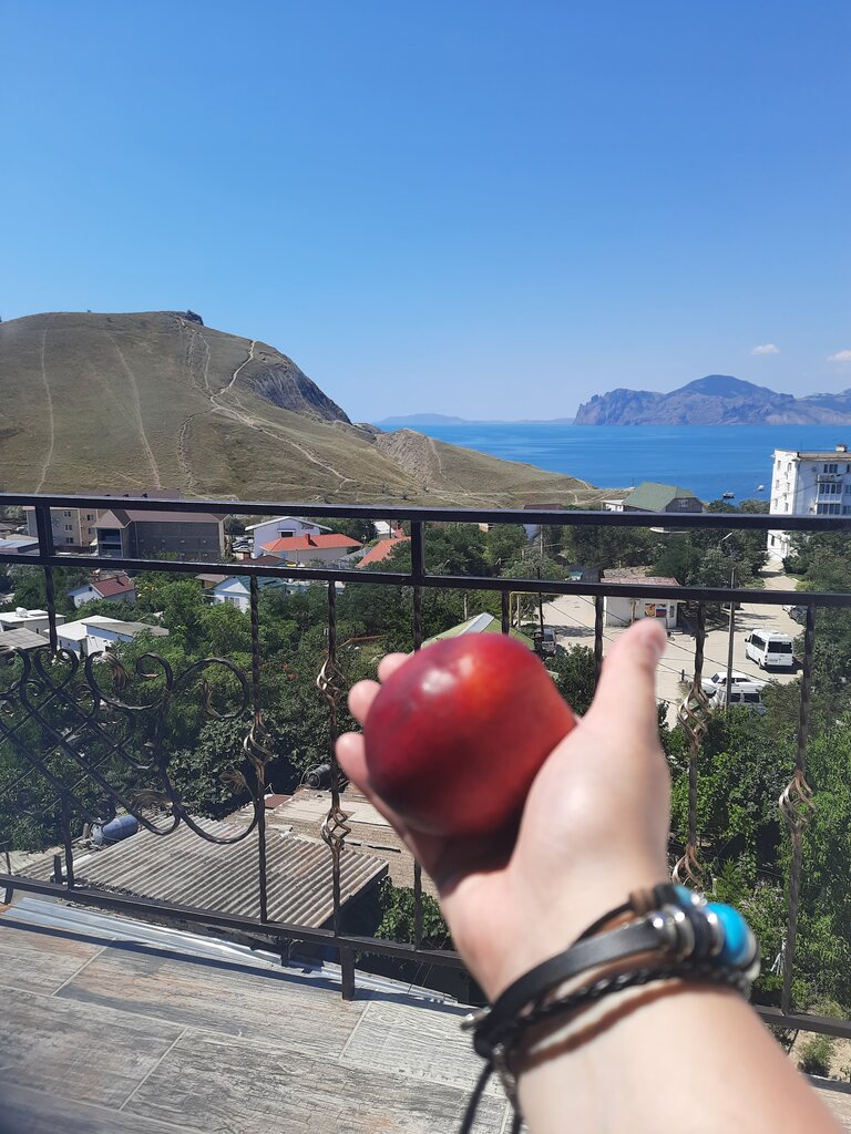 Белый лебедь