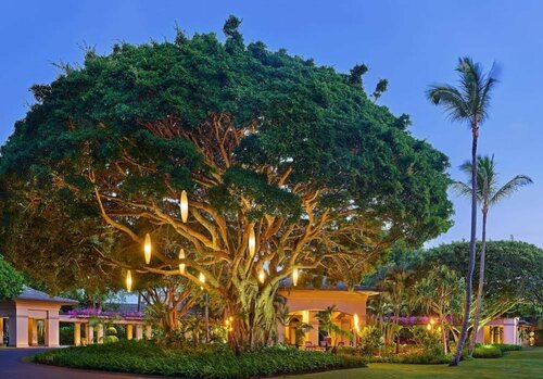 The Ritz-Carlton Maui, Kapalua, Забронировать Курортный отель Капалуа 