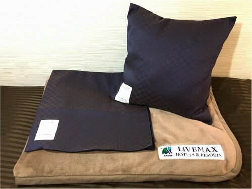 HOTEL LiVEMAX BUDGET Sagamihara, Buchen Sie Hotel Chuo Ward Sagamihara