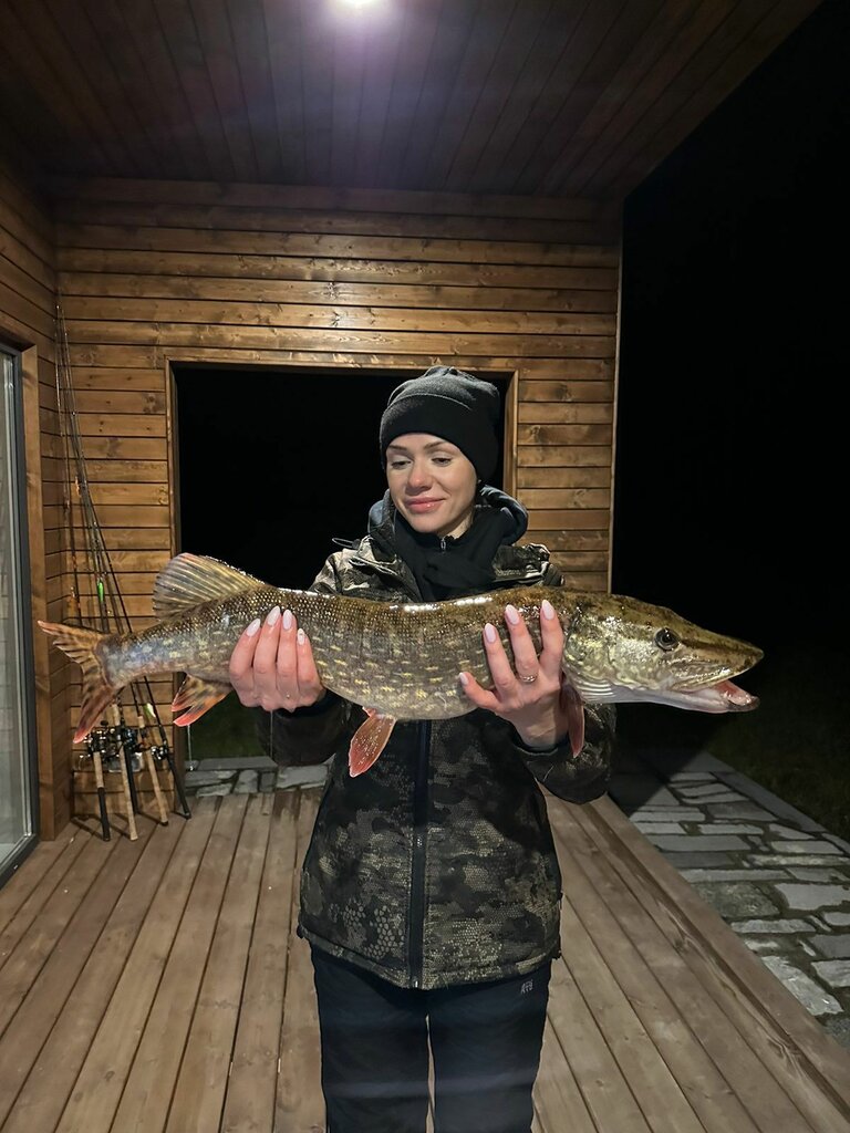 Вилла Ярви