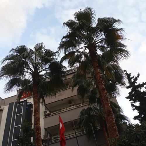 My Boutique Hotel Alanya, Забронировать Бутик-отель Отели Алании с завтраком, рядом с Площадь Ататюрка в Алании, Завтраки