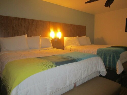 Pb Surf Inn
