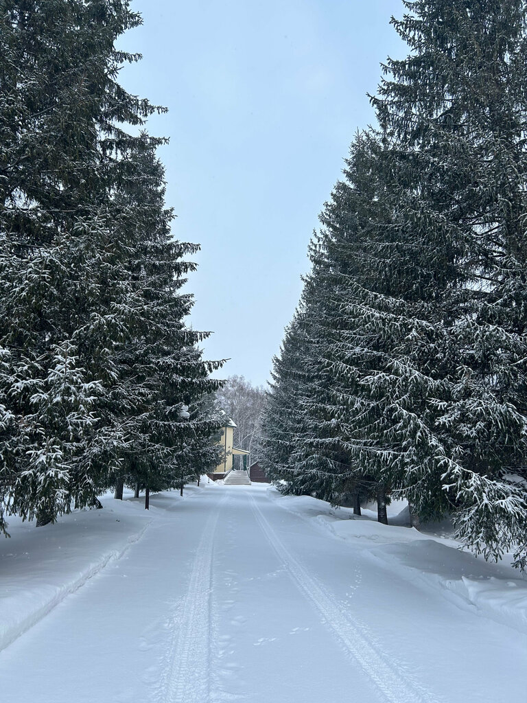 Новый ковчег