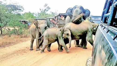 Thevindu guest & red mud resturent, Забронировать Гостевой дом Мирисса Матара