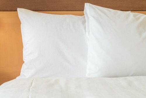 Holiday Inn Nanjing Xuanwu Lake, an IHG Hotel, Prenota Hotel Xuan Wu 
