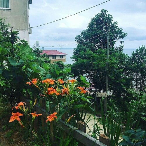 Yesil Vadi Apart Otel, Rezervovat Hotel Findikli Black Sea Region Turkey