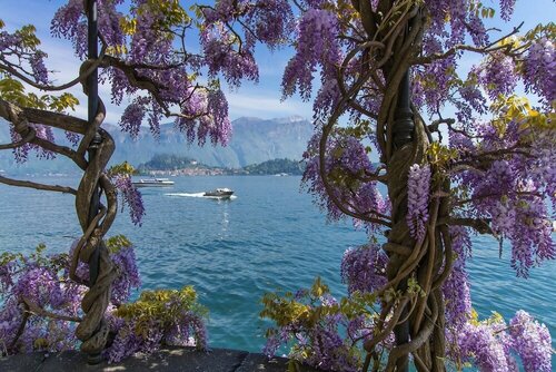 Cadenabbia Vista Lago, Book Lejlighed Griante Como