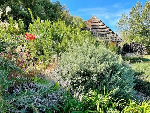 Is Cheas wine farm boutique hotel, Забронировать Фермерский дом Фермерские дома Южной Сардинии, Фермерский дом