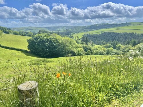 Slowley Farm, Book Landbrugsophold Devon hoteller med parkering, Parkering