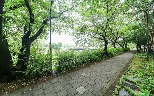 Daejeon Yuseong Paros Hotel, Prenota Hotel Yuseong-gu Daejeon, vicino a KAIST