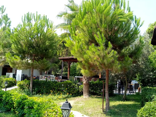 Maya World Hotel