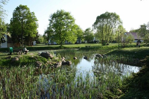 WOSiR Drzonków, Book Campingplads Hoteller i Lubuskie med pool, Swimmingpool