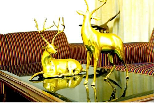 Mehra Residency