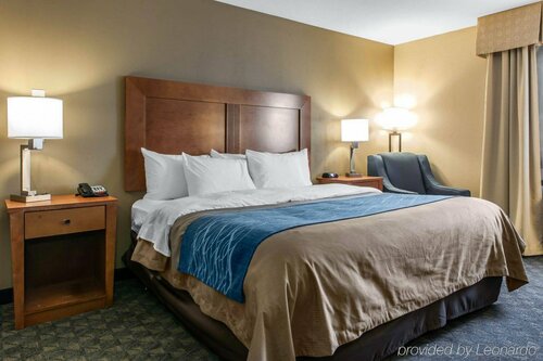 Comfort Inn & Suites, Prenota Hotel Napoleon 