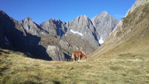 Auberge Les Myrtilles, Réserver Auberge de jeunesse Hôtels à Ariège avec parking, Parking
