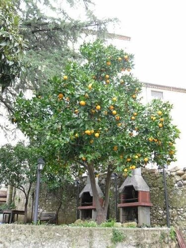 Old Garden, Забронировать Отель «постель и завтрак» Отели Козенца с парковкой, рядом с Cosenza Cathedral, Парковка