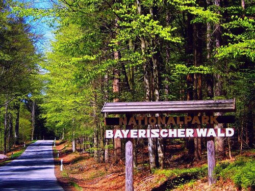 Pension Salzsäumer - Adults Only, Book Hotel Neuschoenau Bavarian Forest