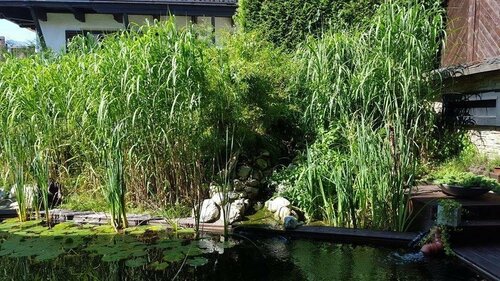 Gästehaus Tanneck, Prenota Hotel Hotel a Baviera con piscina, Piscina