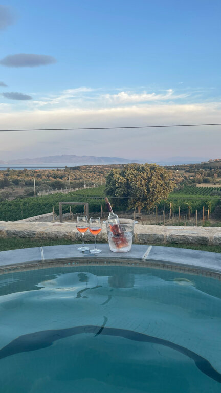 Datca Vineyard