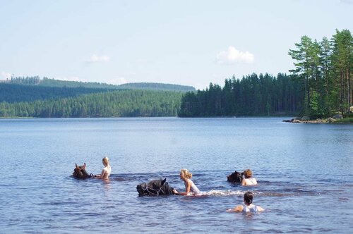 Sun Dance Ranch, Réserver Hôtel Hôtels à Svealand avec repas, Demi/complète pension