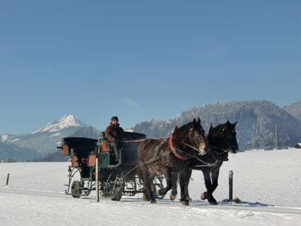 Tischlergut, Rezerwuj Hotel Leogang 