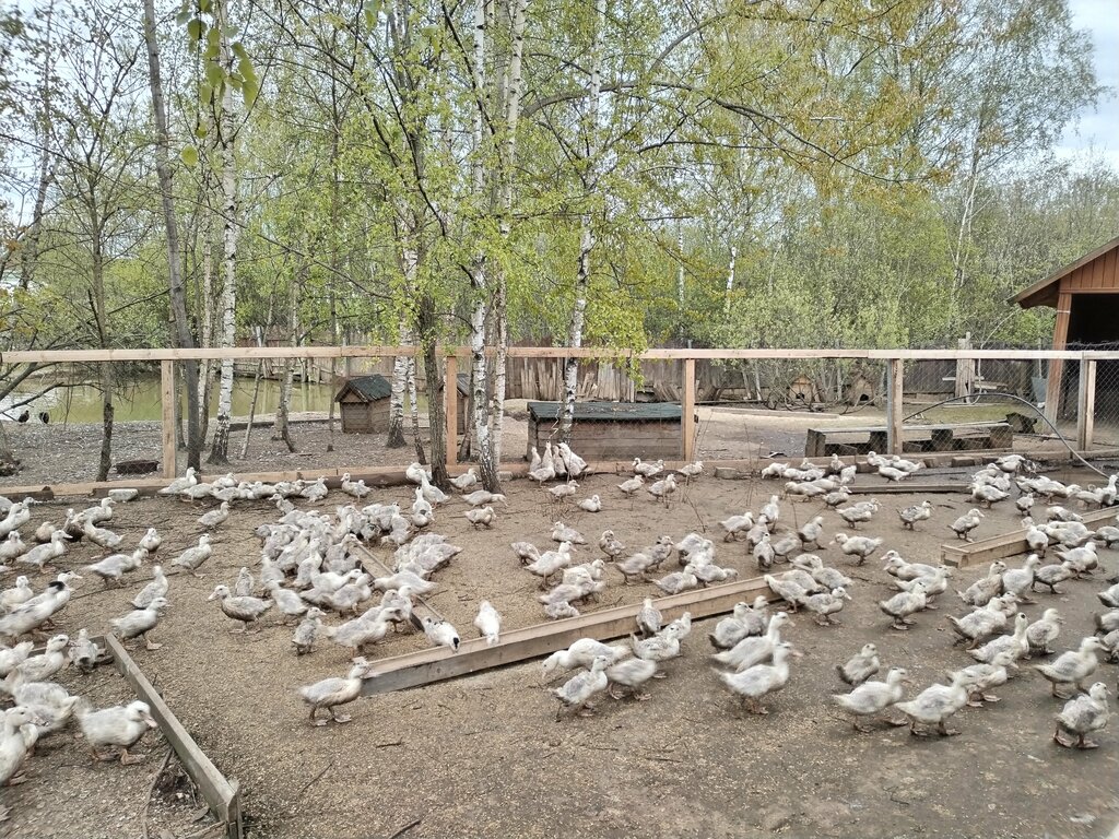 Волжский фермер
