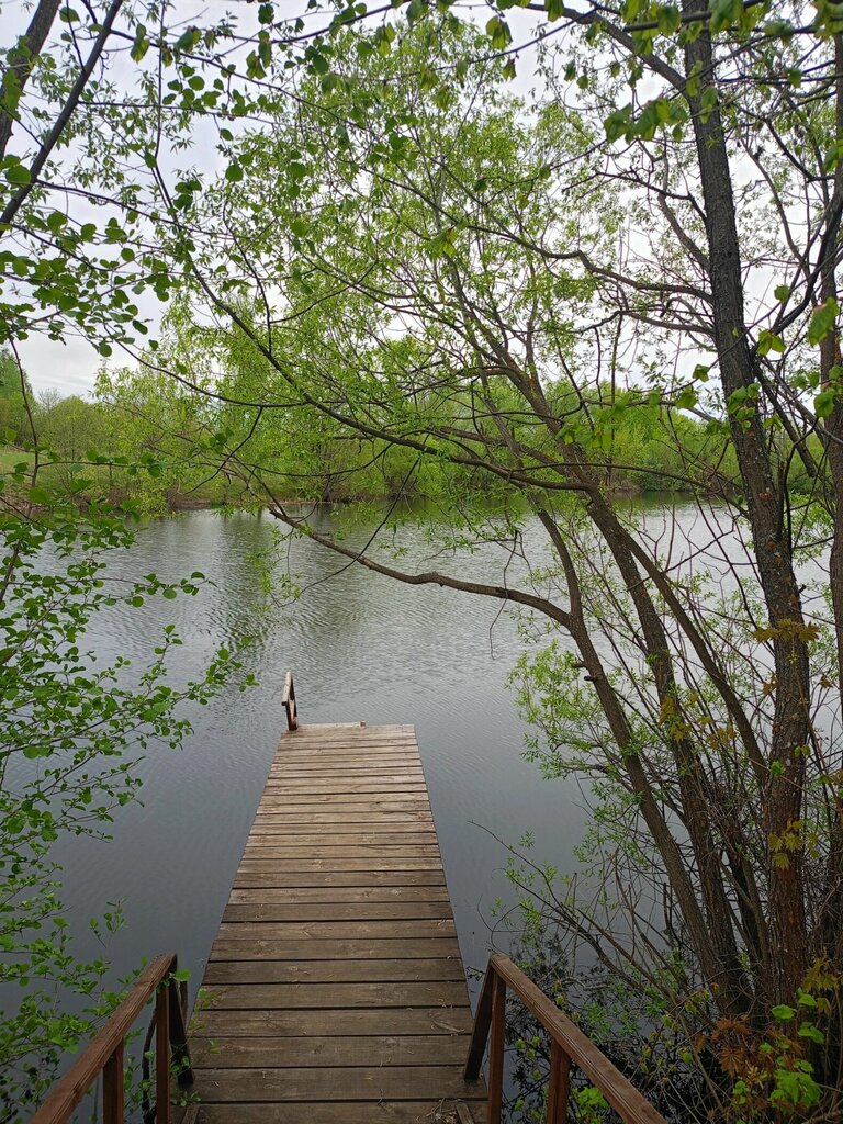Стрела
