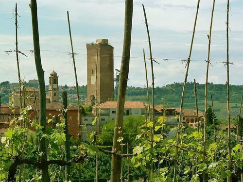 B&B Al Giardino Dei Mandorli, Buchen Sie Bed & Breakfast Hotels in Piemont mit Parkplatz, Parkplätze