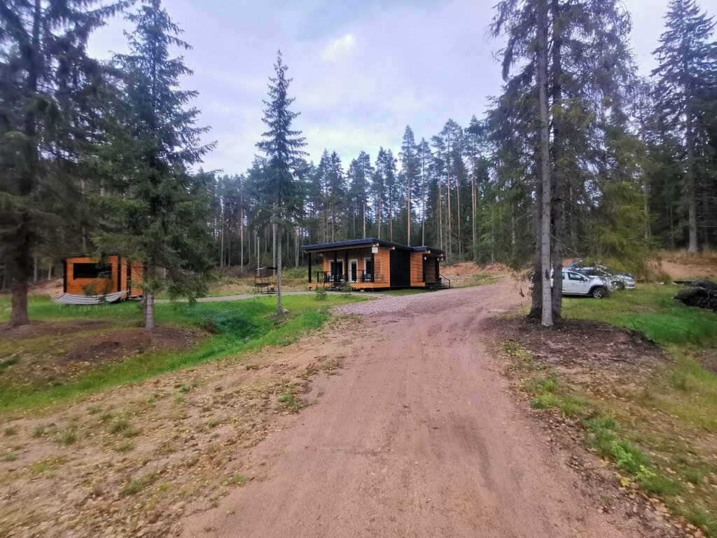 Таммико
