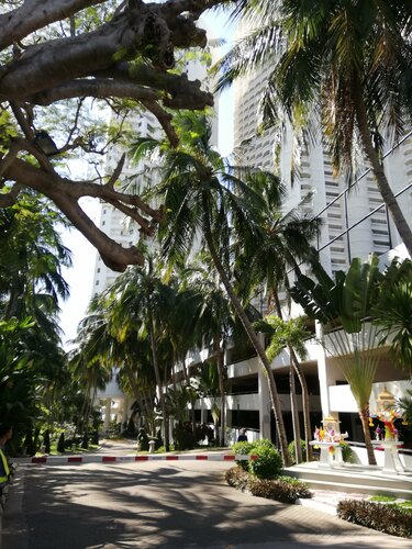 Zire Wongamat Condominium