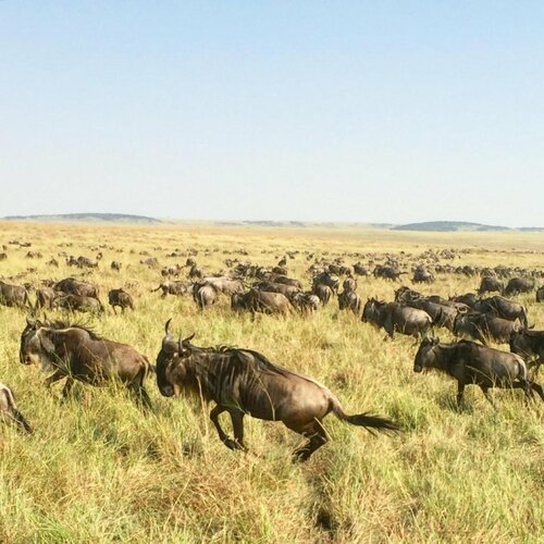 Nanchang Hotel, Prenota Hotel Hotel tutto incluso a Nairobi, All Inclusive