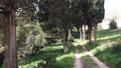 Belvedere Zia Terina, Book Hotel Valderice 