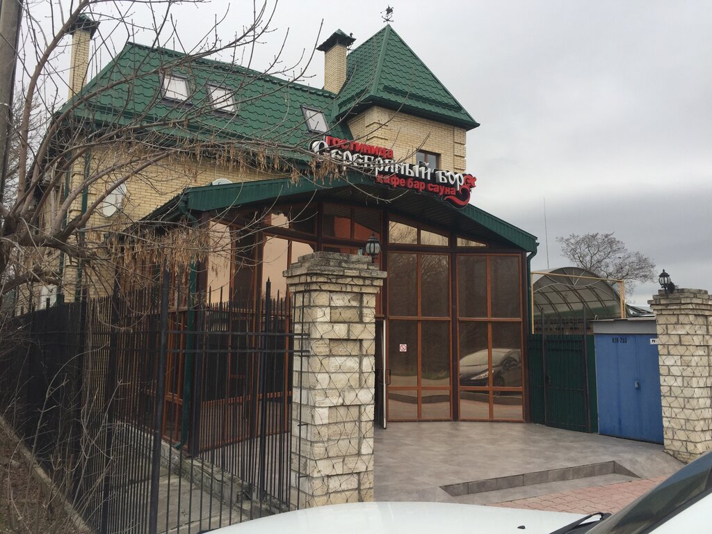 Serebryanyj bor