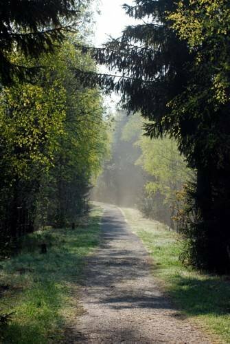 Waldgasthaus & Pension Teichhaus, Забронировать Отель Хольцхау Ore Mountains