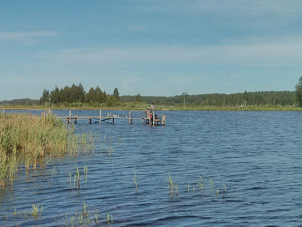 Бурдиха