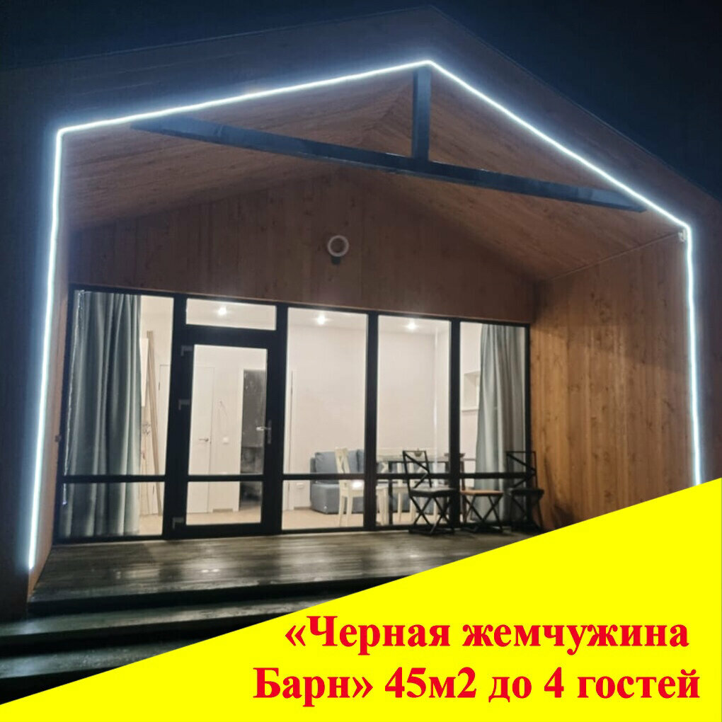 Черная жемчужина