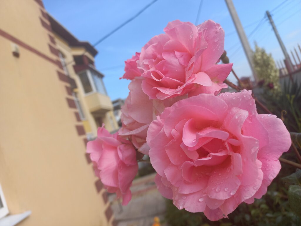 Белогорье